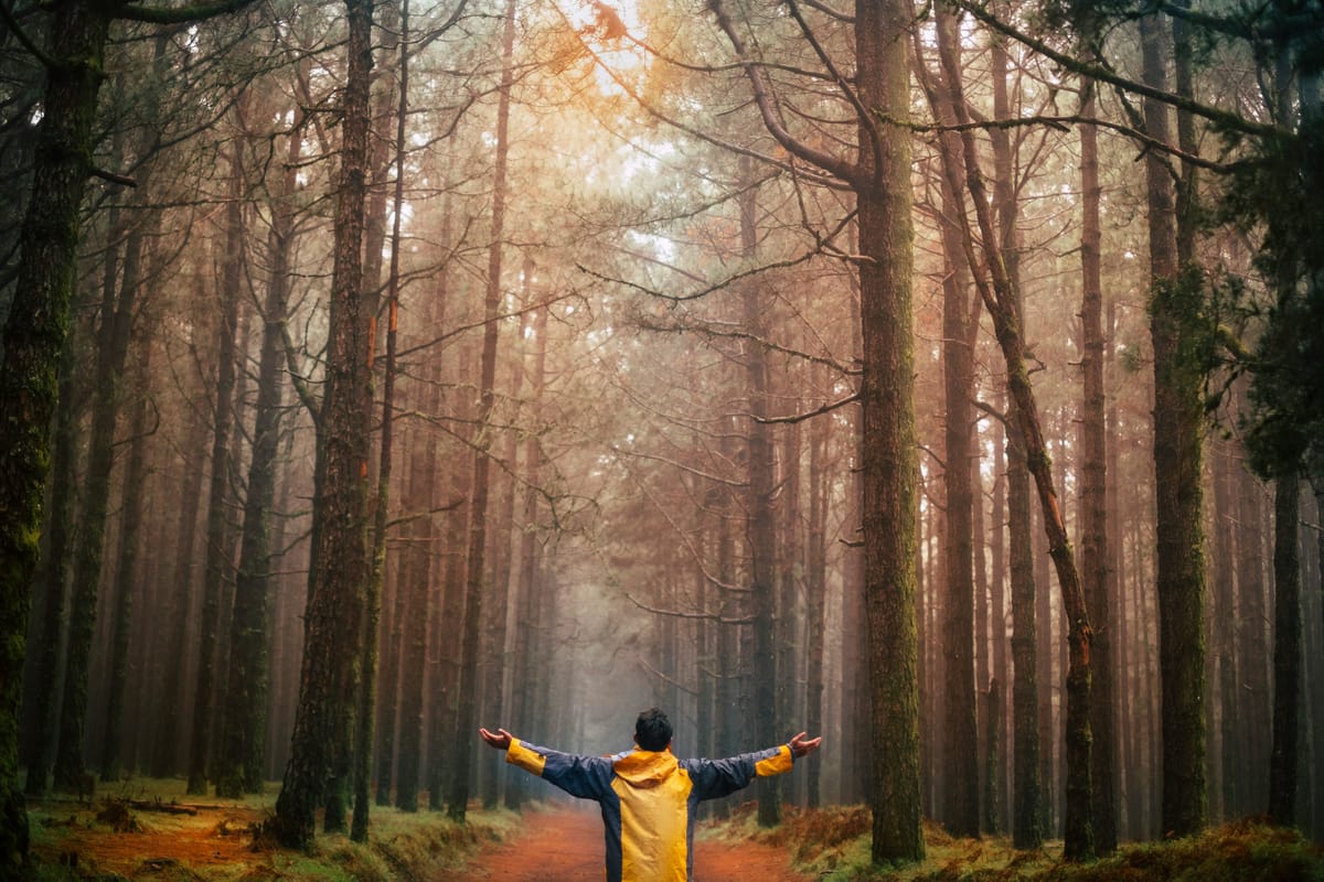 What Do We Mean When We Say "The Kingdom of God"?